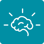 brain